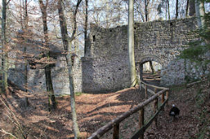 Ruine Rottenburg (Foto: A. Prock)